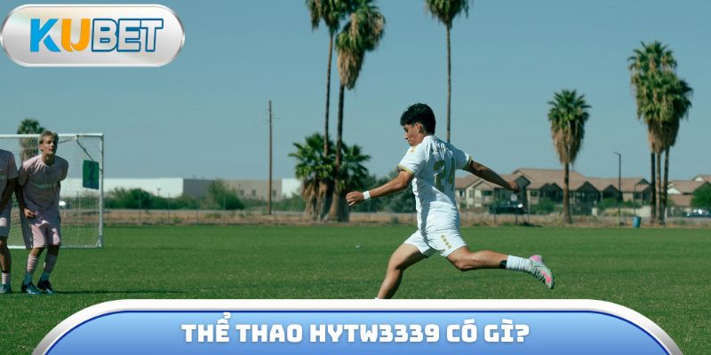 Thể thao hytw3339 có gì?
